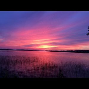 Meet your Posher, Tamar